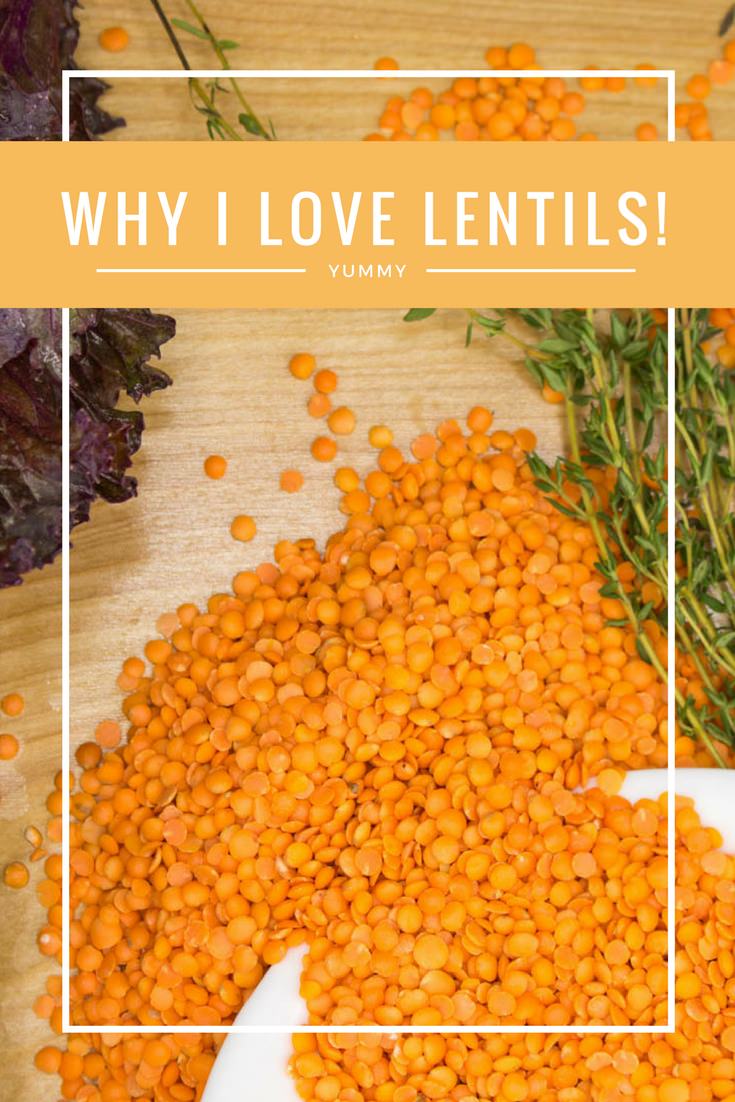 why-i-love-lentils-long-pin