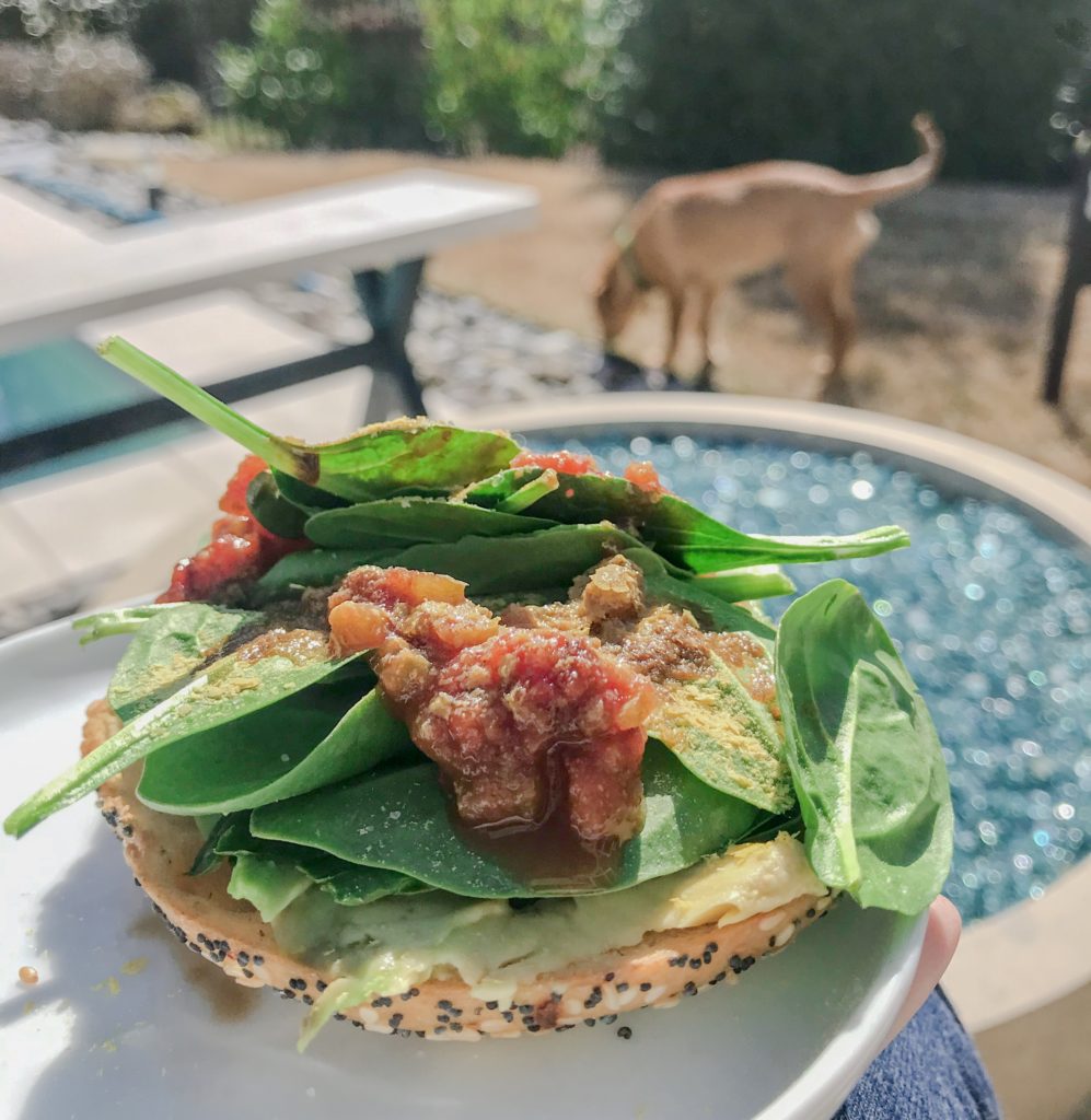 side view bagel with smashed avocado, baby spinach, salsa, and nutritional yeast
